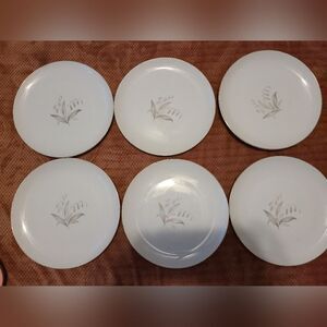 Kaysons Plates 